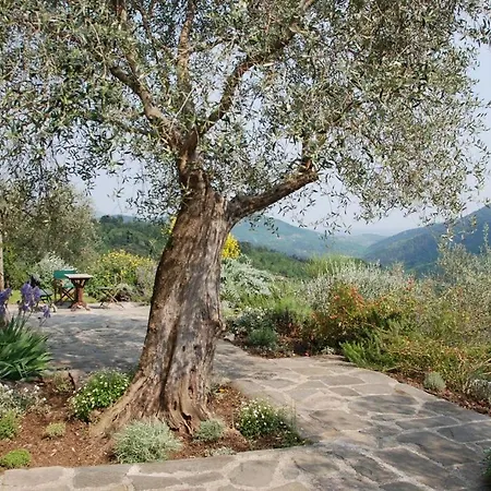 Stignano Sleeps 12